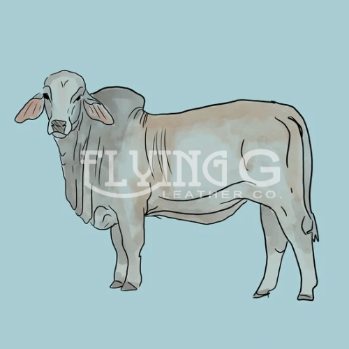 Brahman (Semi-Exclusive)