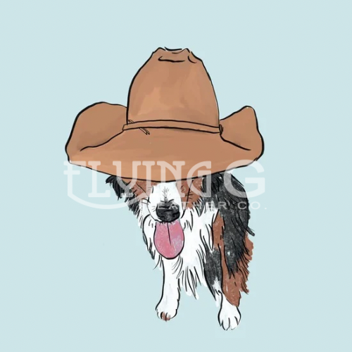 Cowboy Aussie