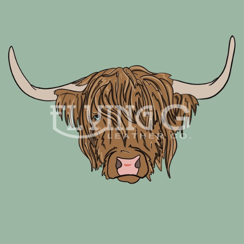 Highland Cow